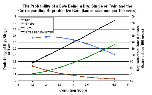 Graph detailing the probability of a ewe being a dry, single or twin and the corresponding reproductive rate